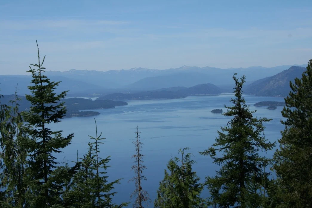 Evergreen trees framing a lake and mountain view